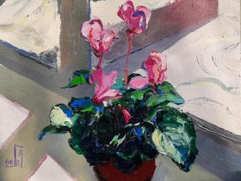 ������� ��� ����� ����