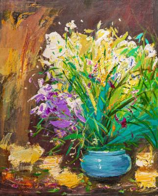 ������� �������� ����