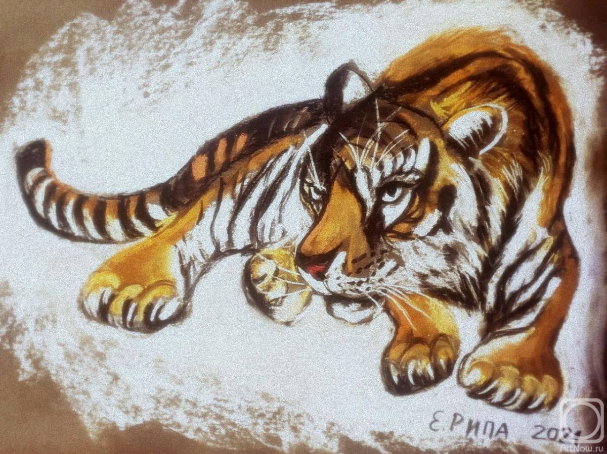 Ripa Elena. Tiger