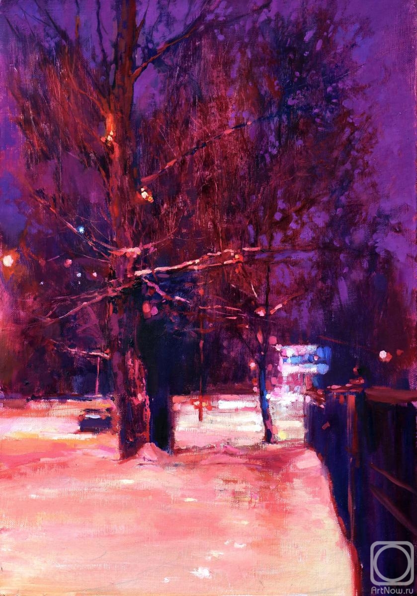 Dragin Igor. A winter evening