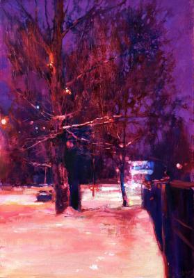 A winter evening. Dragin Igor