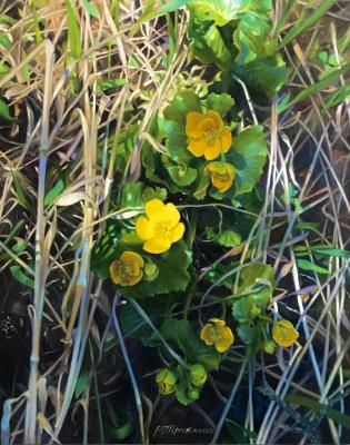 ���������� ��������. �������� �������