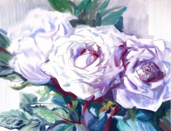 Morning of White Roses