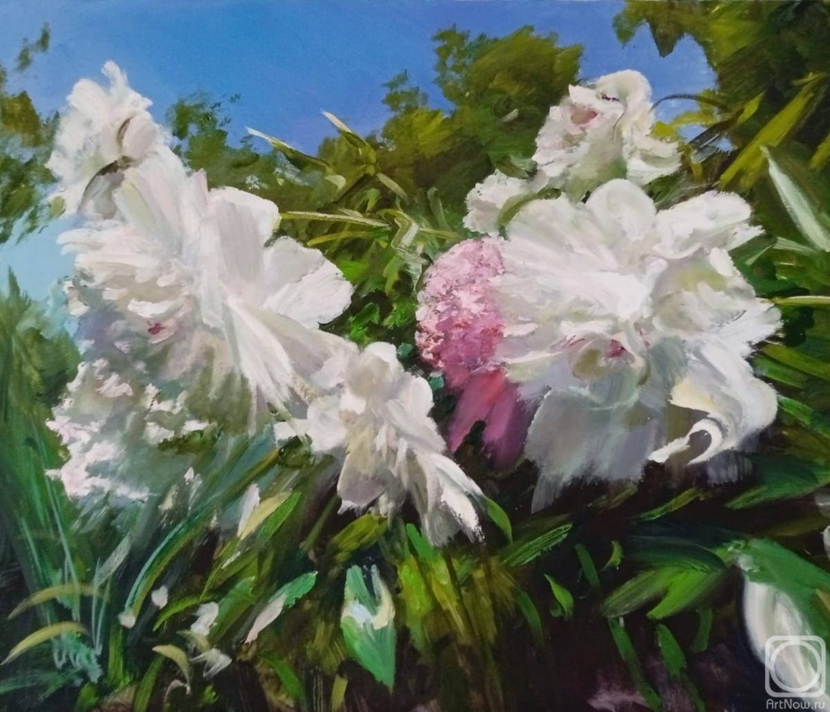 ������� ������ �� ������. ������� ������. �����