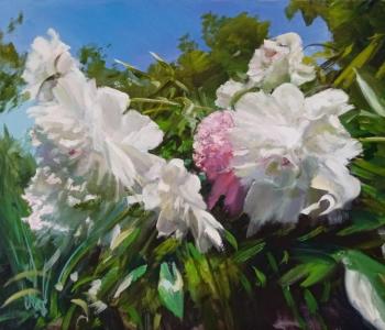 ������� �������