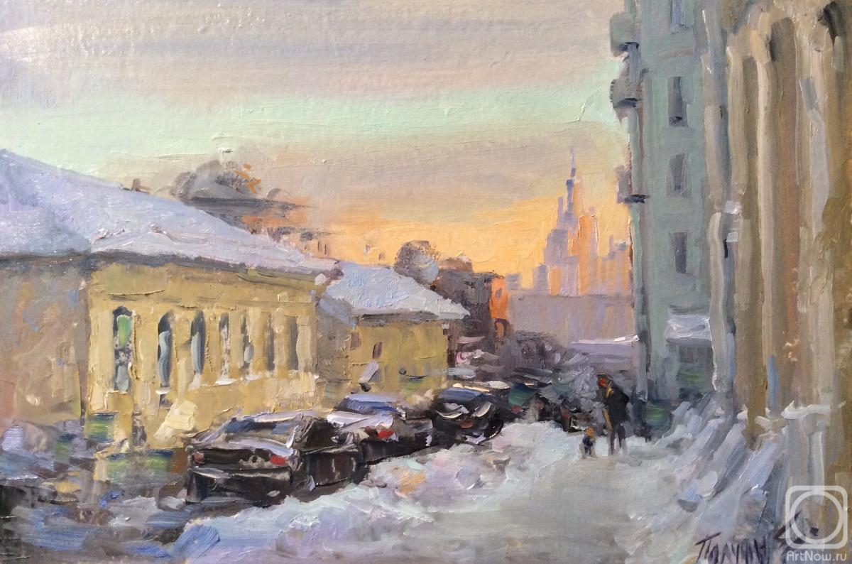 Poluyan Yelena. The charm of winter Moscow