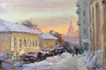 The charm of winter Moscow. Poluyan Yelena