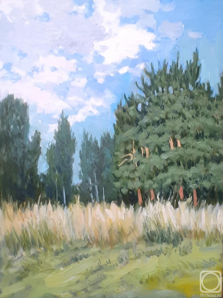 ������� ������ �� ������. �������� ��������. �����