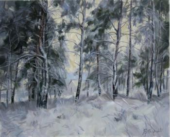 Pines in the Snow. Voronov Vladimir
