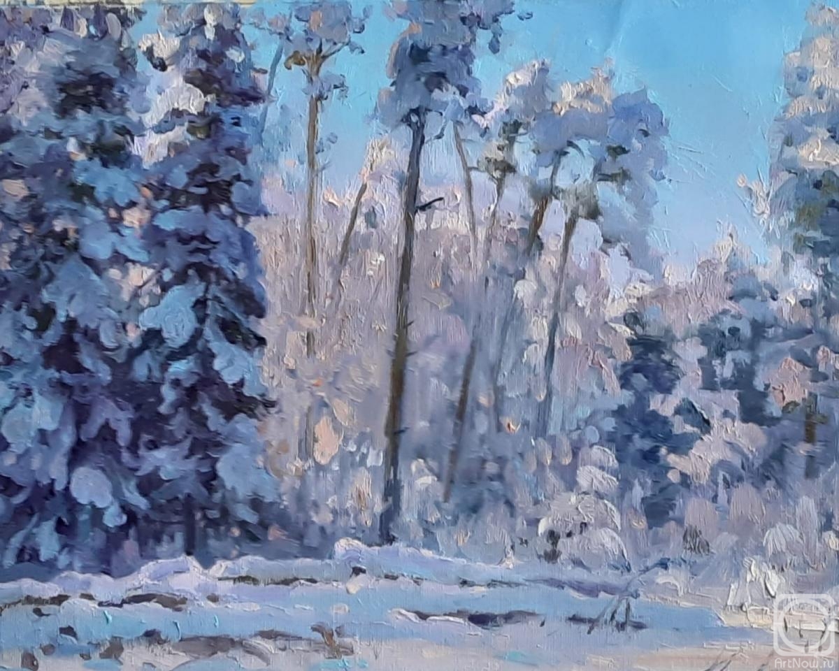 Ryzhenko Vladimir. Forest in January