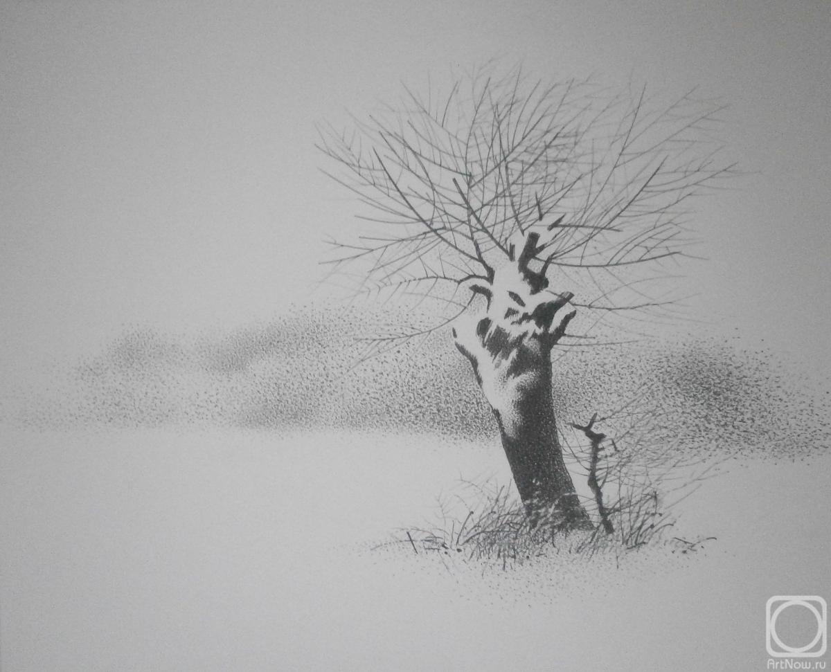 �������. �������� ����. ������ ����