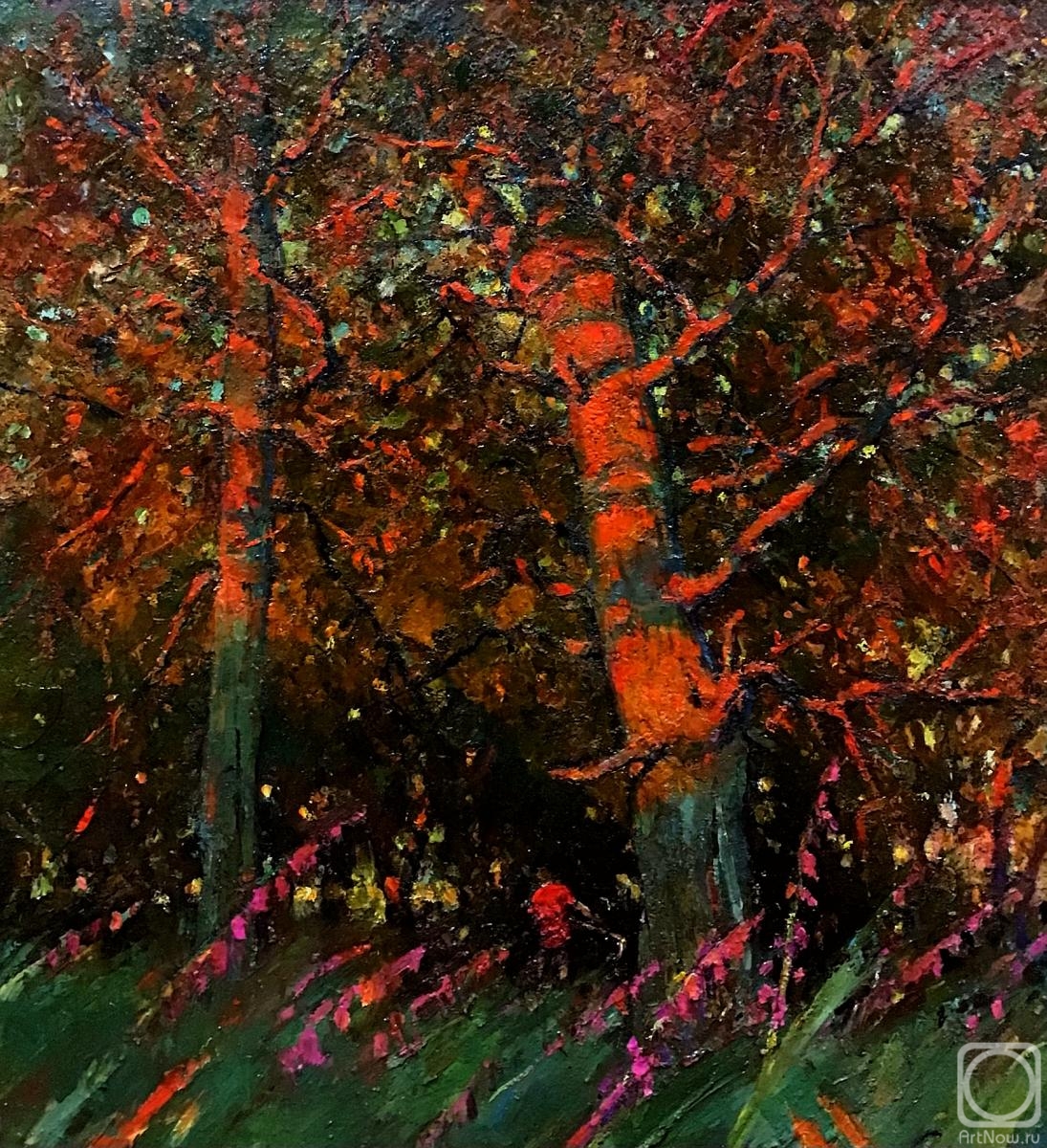 ������� ������ �� ������. �������� �����. ����� � �����