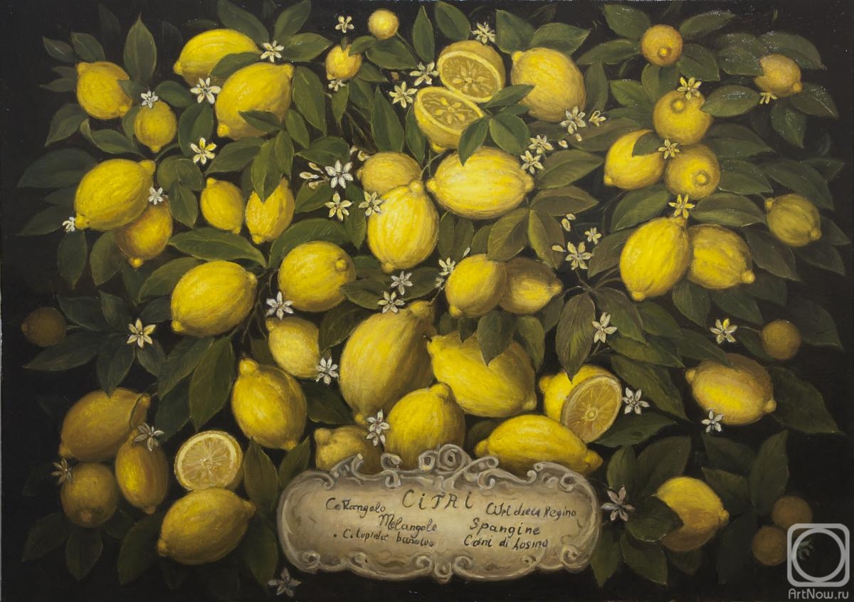 Aleksandrov Vladimir. Lemons