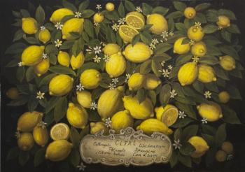 Lemons. Aleksandrov Vladimir