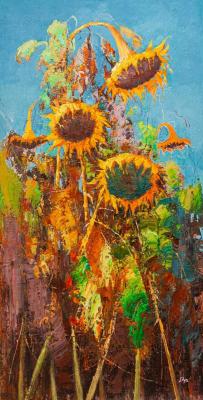 Sunflowers. Augus. Gomes Liya
