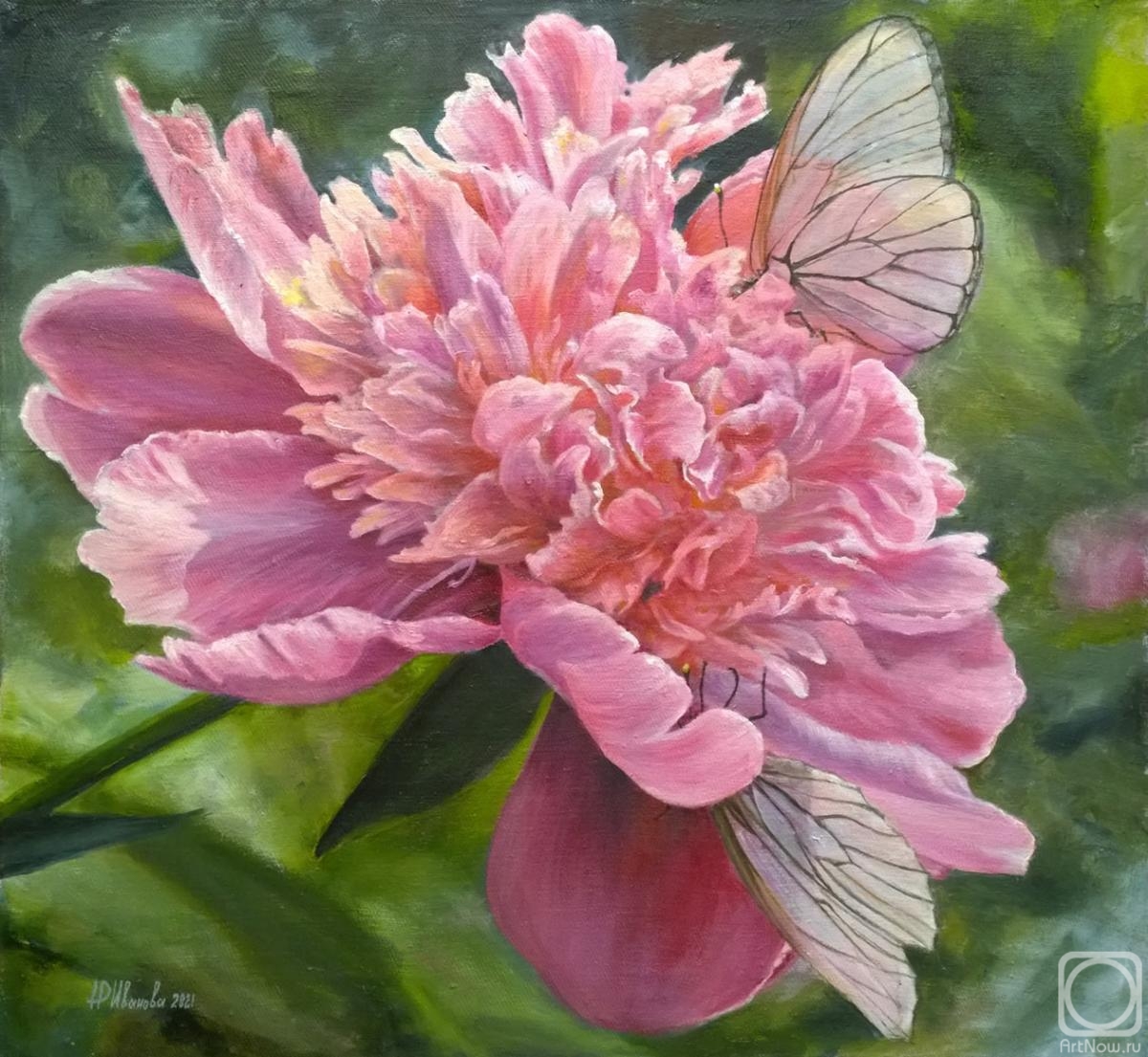 ������� ������ �� ������. ������� �������. ���� � ����� �������