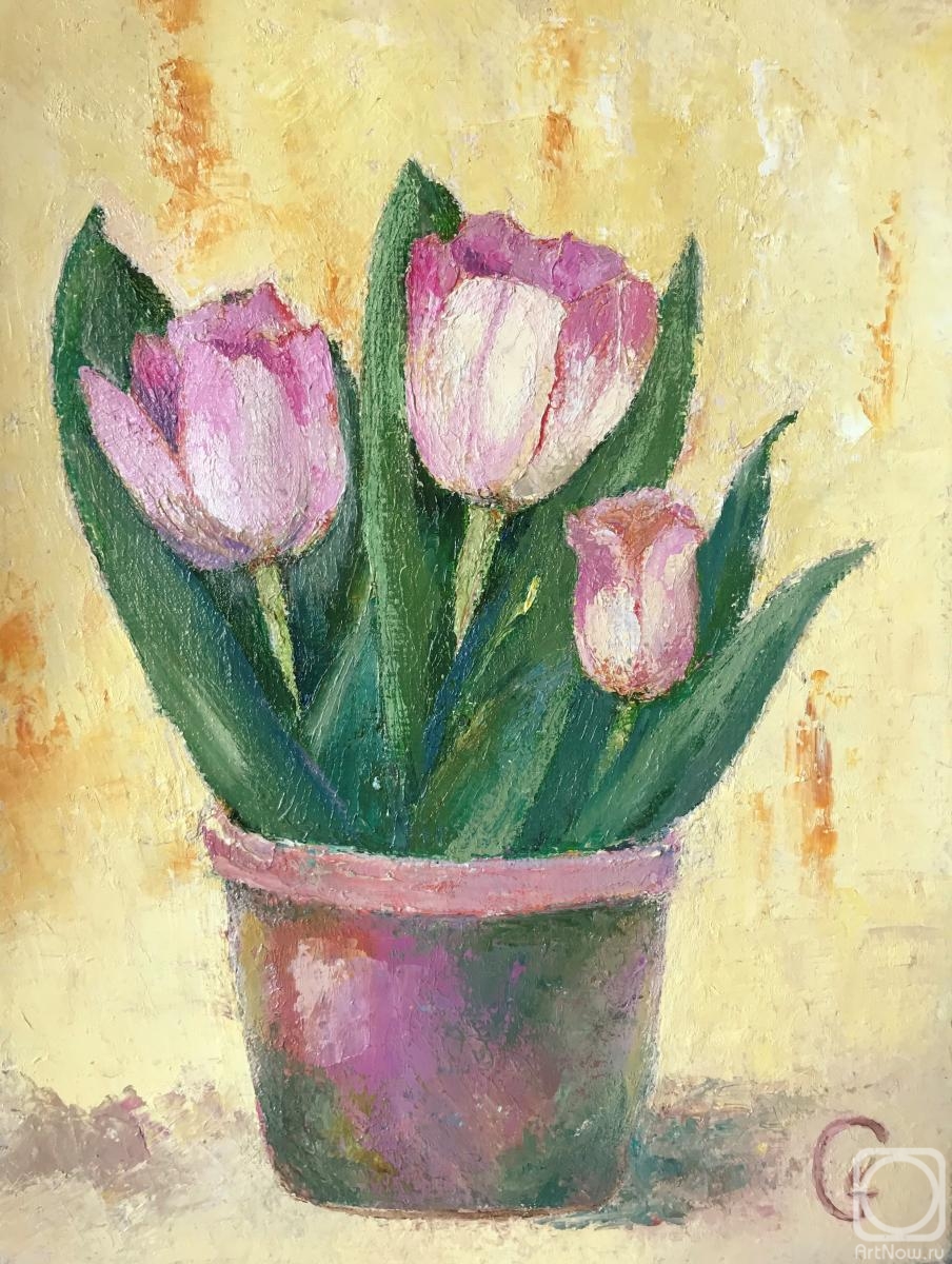 ������� ������ �� ������. ���������� �������. ������� ����������