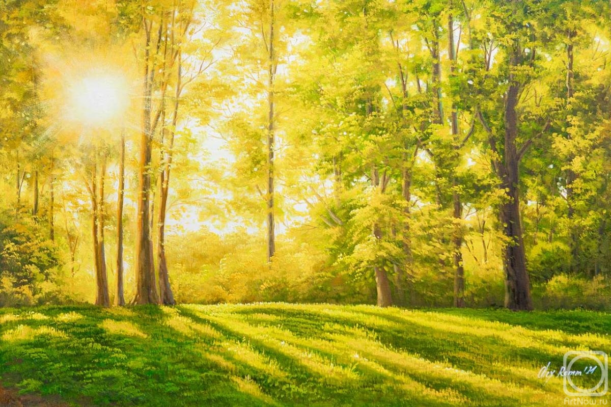 Romm Alexandr. Morning in a sunny forest
