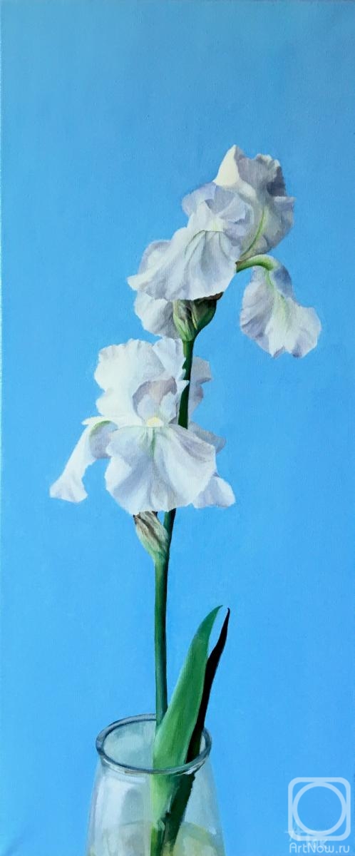 ������� ������ �� ������. ��������� ����. ��������