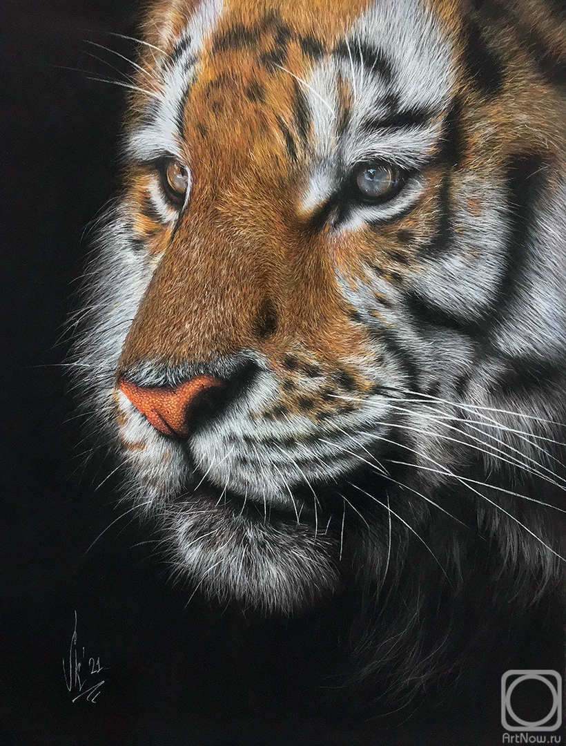 �������. ������ �����. ����