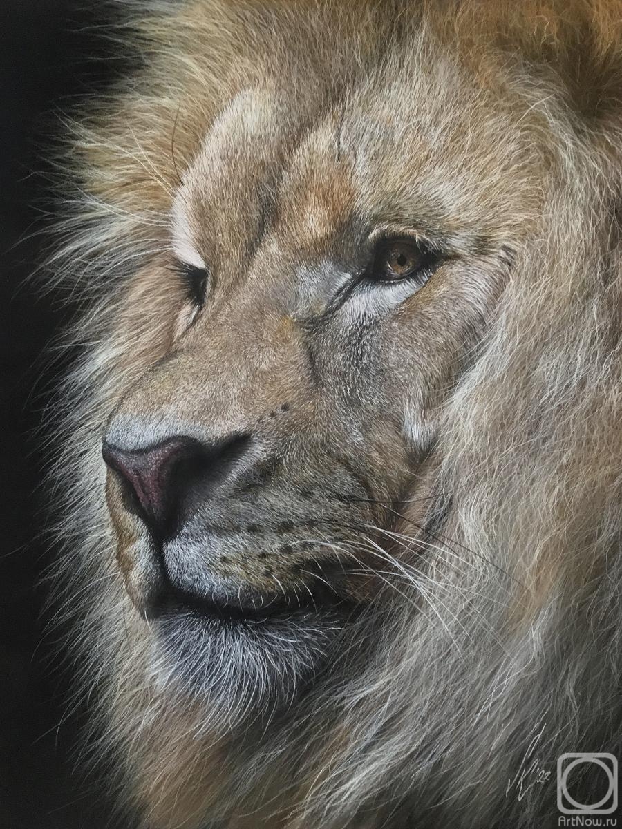 �������. ������ �����. ���