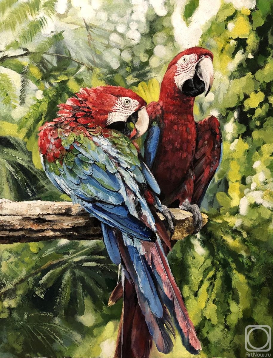 ������� ������ �� ������. ������ �����. ���