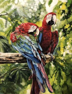 ������� ����