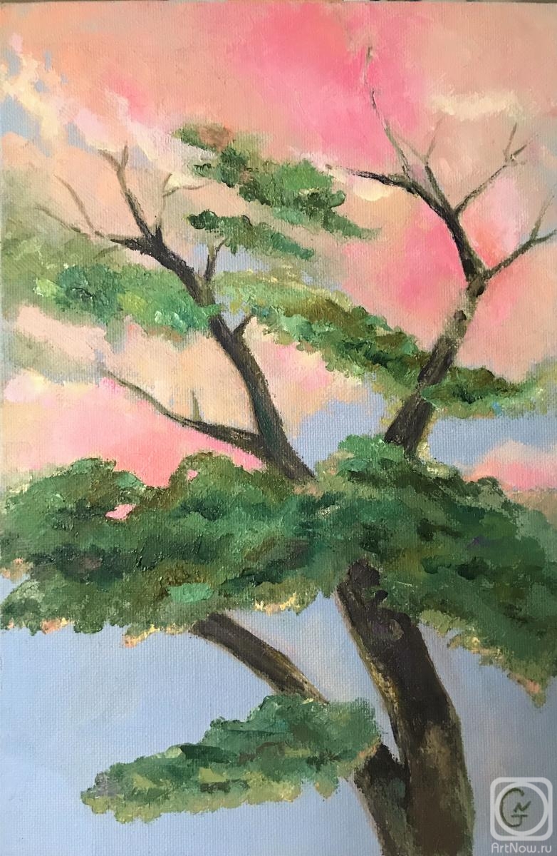 ������� ������ �� ������. ���������� �������. ����������� �����