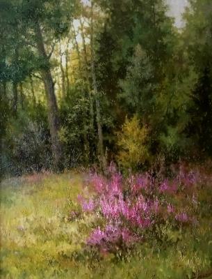 A clearing in the forest. Aleksandrov Aleksandr
