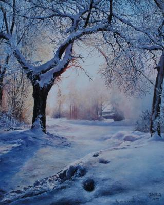 On a snow-covered river. Vokhmin Ivan