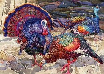 Turkeys (Plumage). Tyutrin Peter