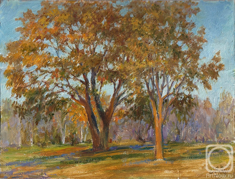 Shumakova Elena. Untitled