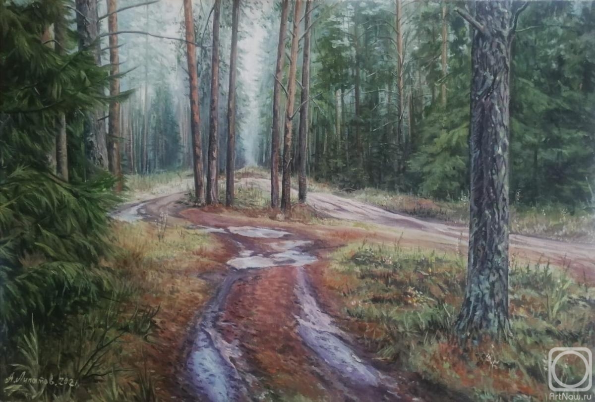 Lipatov Aleksandr. The forest path after the rain