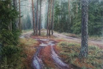 The forest path after the rain. Lipatov Aleksandr