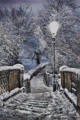 Winter night ( ). Vokhmin Ivan