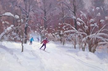 In the Park (Winter Sport). Panteleev Sergey