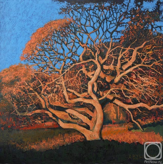 ������� ������ �� ������. ������� ������. ���� ���������� ���