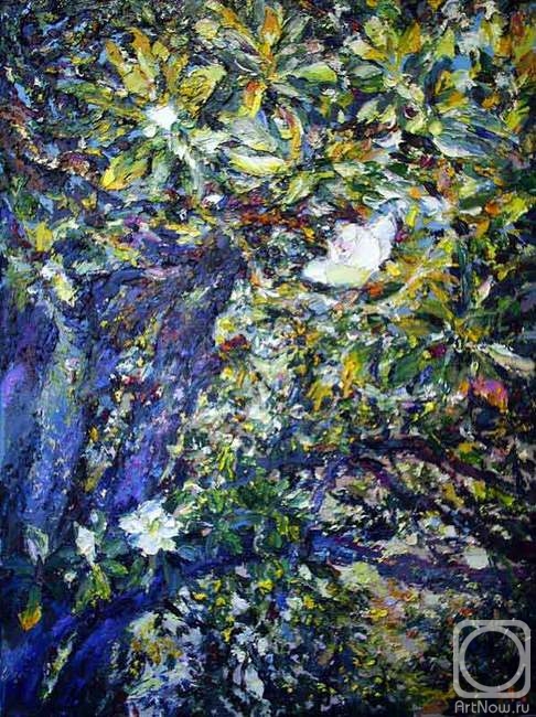 ������� ������ �� ������. ������ �������. ��������