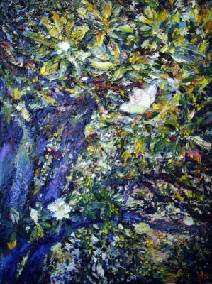 ������� ����������