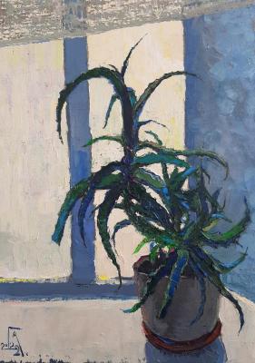 ������� ���. ���������� �������