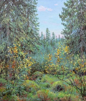 ������ ����. ������� ����