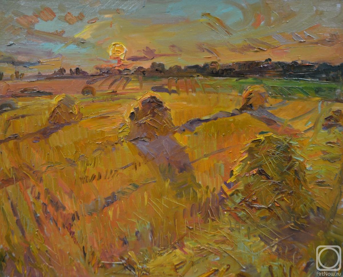 Sorokina Olga. Sunset in the field