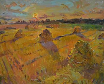 Sunset in the field. Sorokina Olga