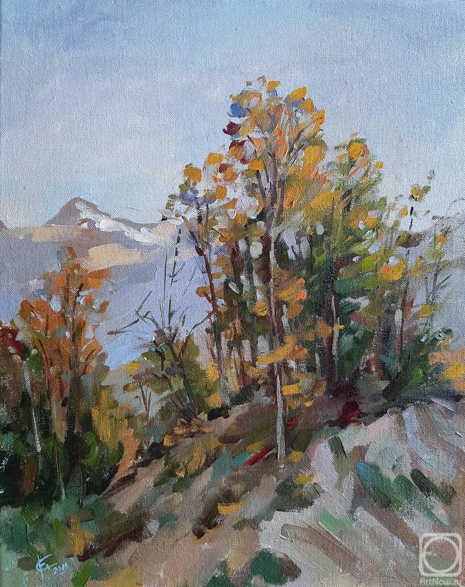 ������� ������ �� ������. ����� ���������. ���� � �����