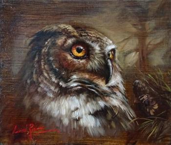 The Owl. Rychkov Aleksey