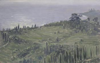 Landscape 17