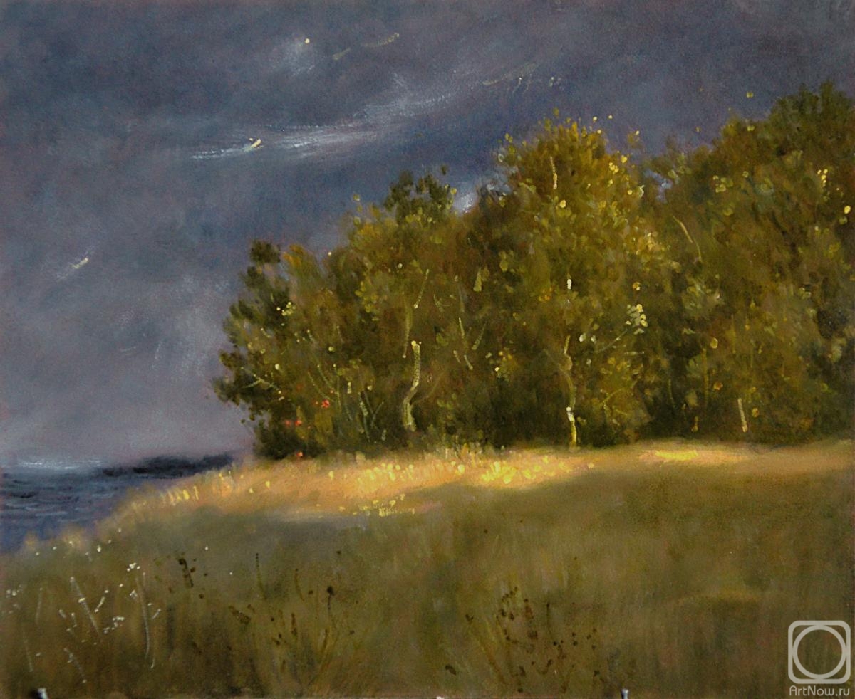 Miroshnikov Dmitriy. Landscape 12