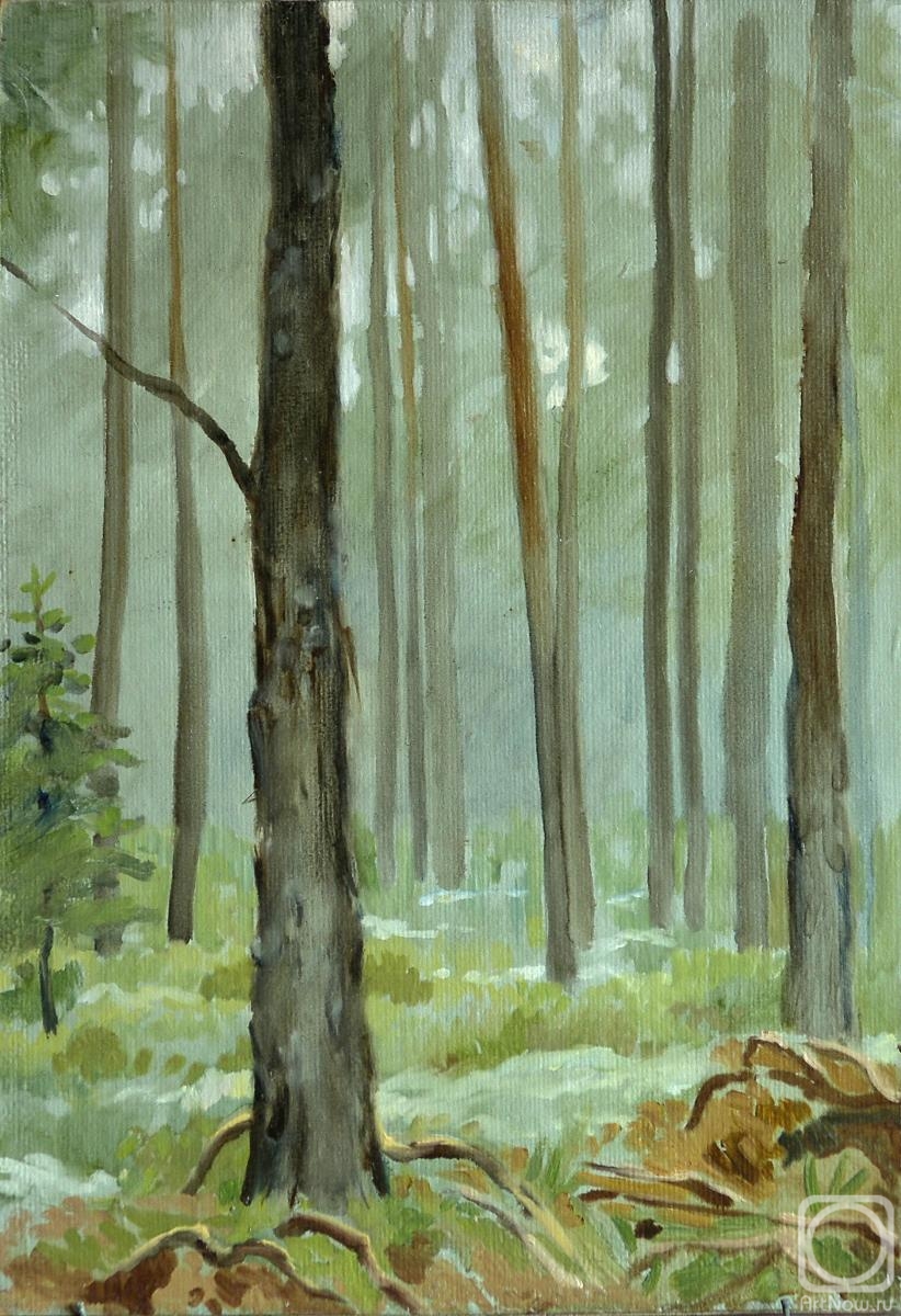 �������. ���������� �������. � ����