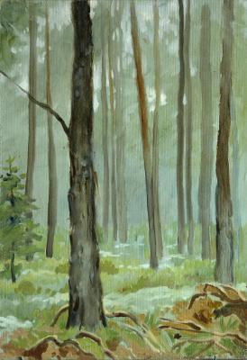 In the forest. Miroshnikov Dmitriy
