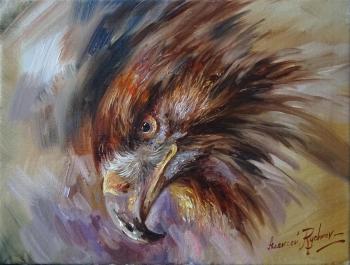 Eagle eye. Rychkov Aleksey